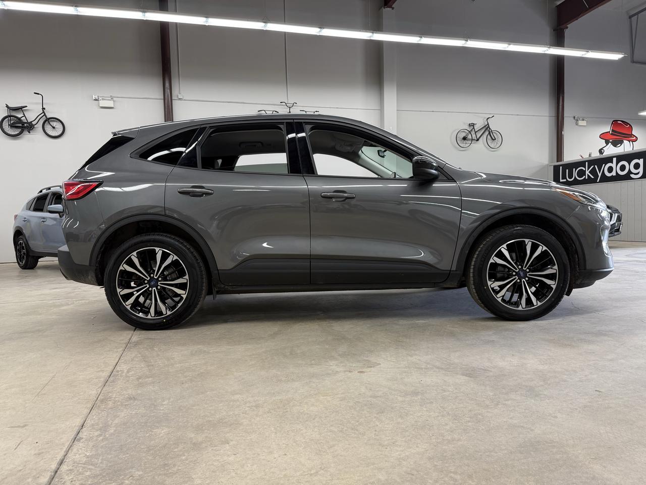 2022 Ford Escape SE Photo