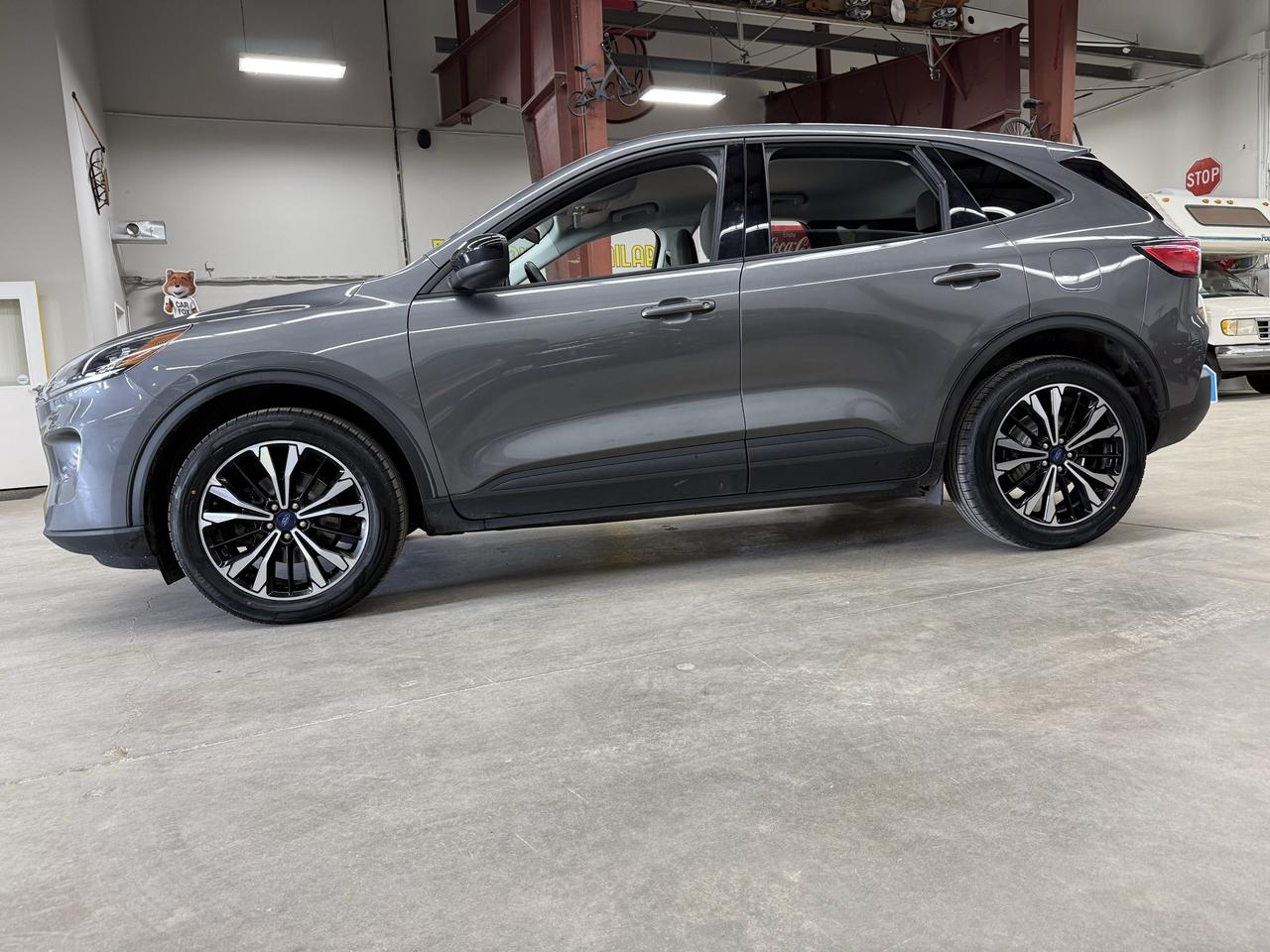 2022 Ford Escape SE Photo