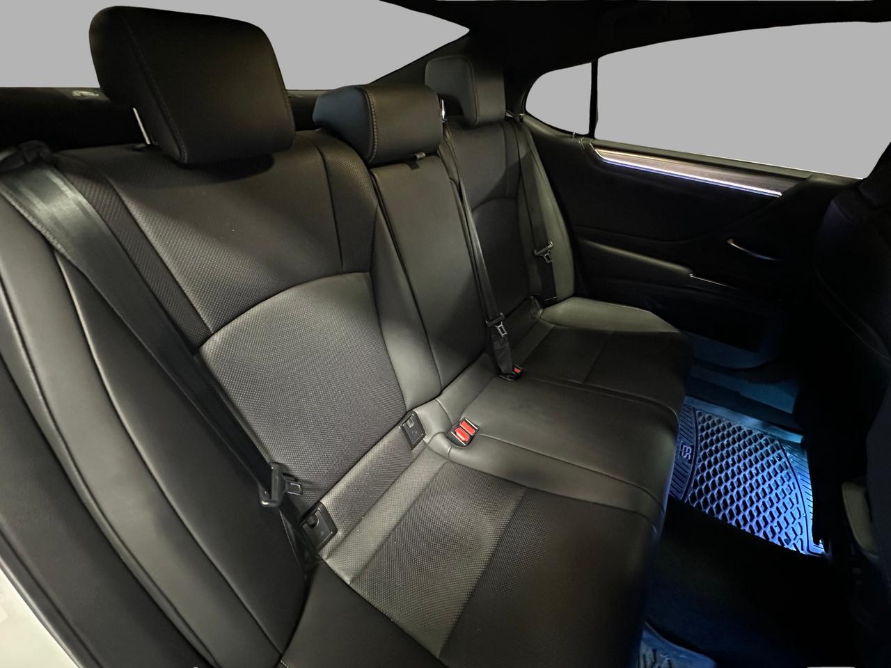 2019 Lexus ES ES 350 PREMIUM SIGNATURE F-SPORT | TOP OF THE LINE Photo