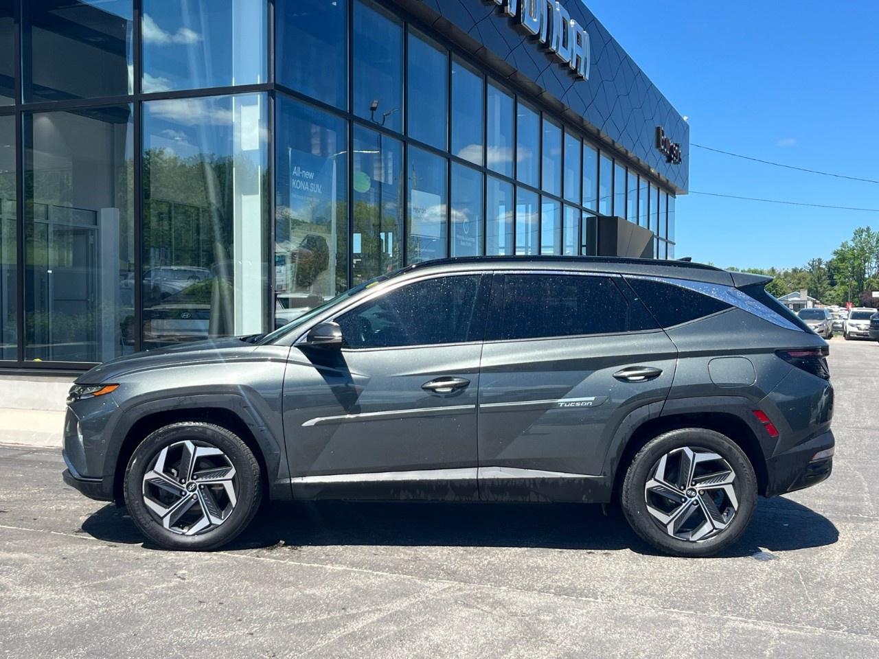 2023 Hyundai Tucson Hybrid Ultimate AWD Photo2