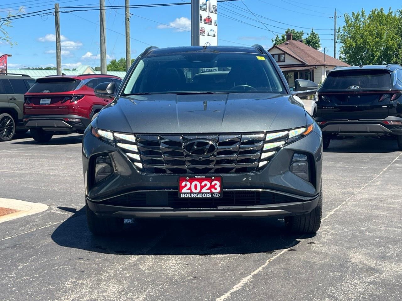 2023 Hyundai Tucson Hybrid Ultimate AWD Photo
