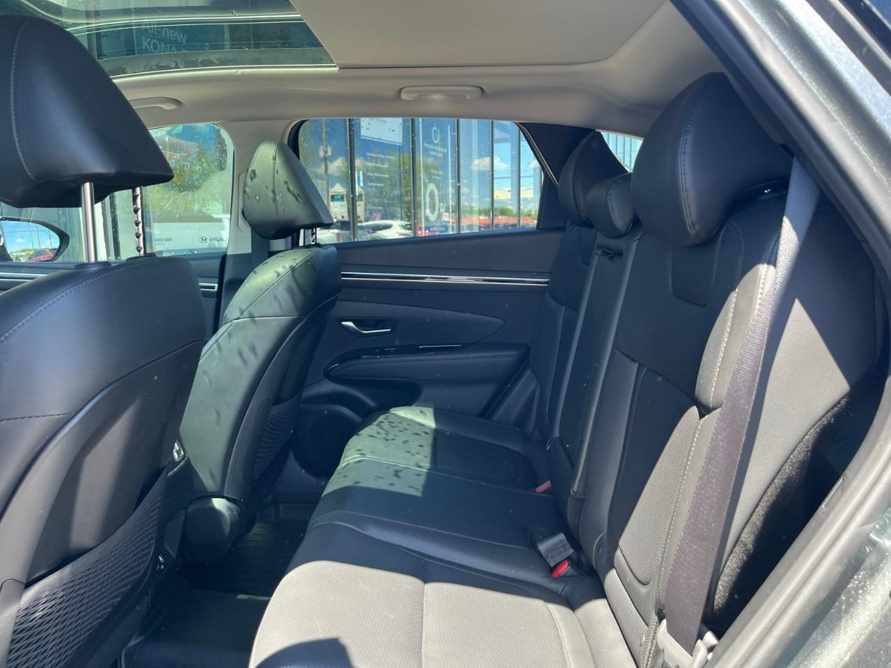 2023 Hyundai Tucson Hybrid Ultimate AWD Photo