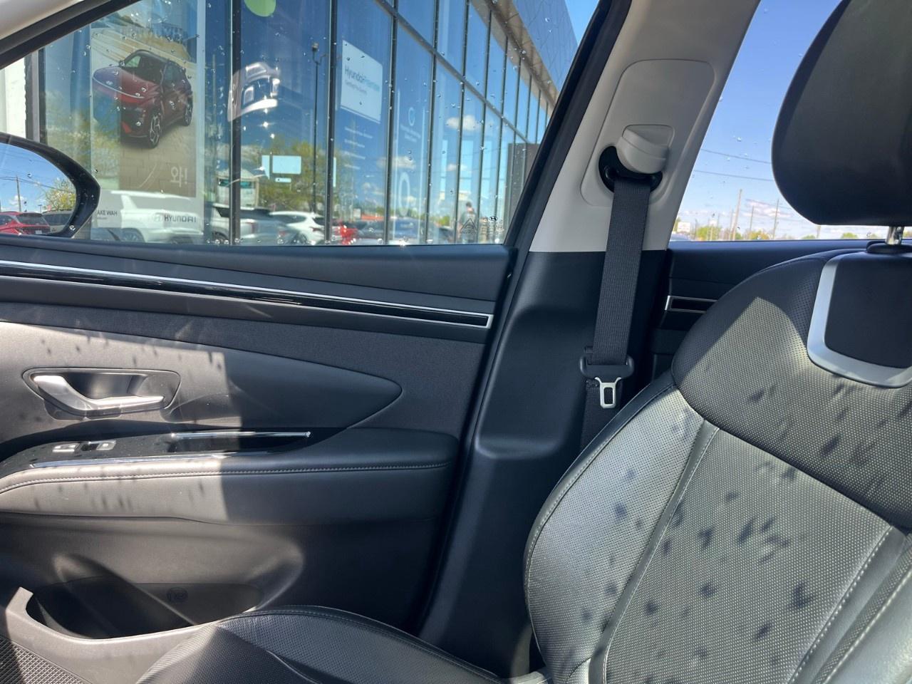 2023 Hyundai Tucson Hybrid Ultimate AWD Photo