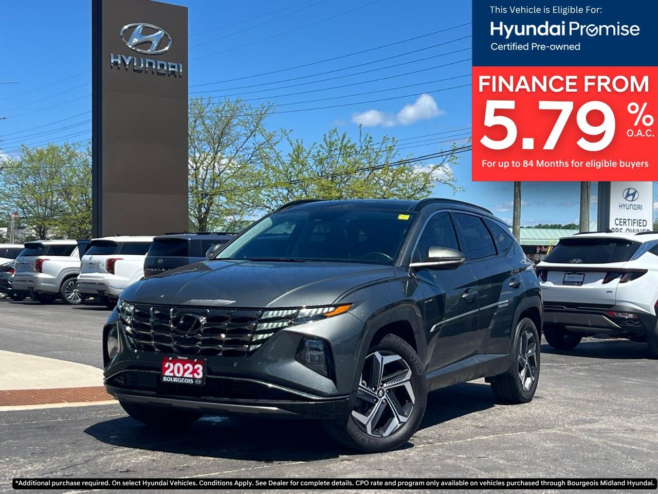 2023 Hyundai Tucson Hybrid Ultimate AWD Photo