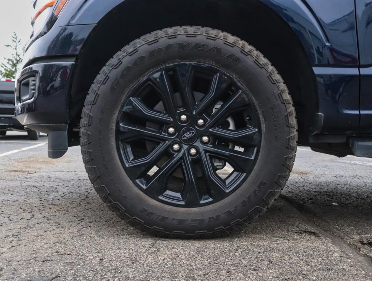 2025 Ford F-150 XLT | 4X4 | 2.7L | 303A |BLK PK PLS |ROOF | BD UTL Photo