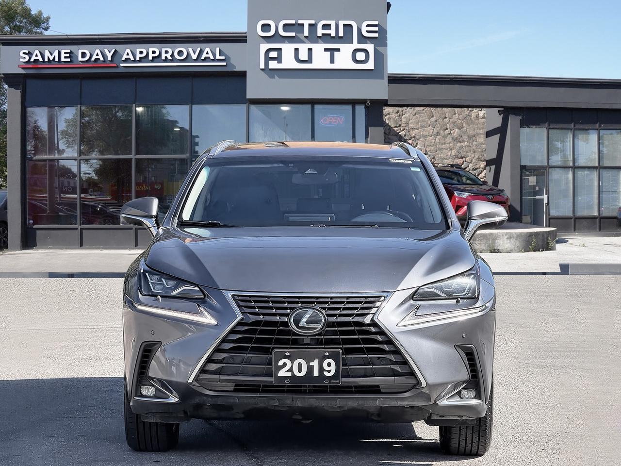 2019 Lexus NX NX 300 Auto Photo