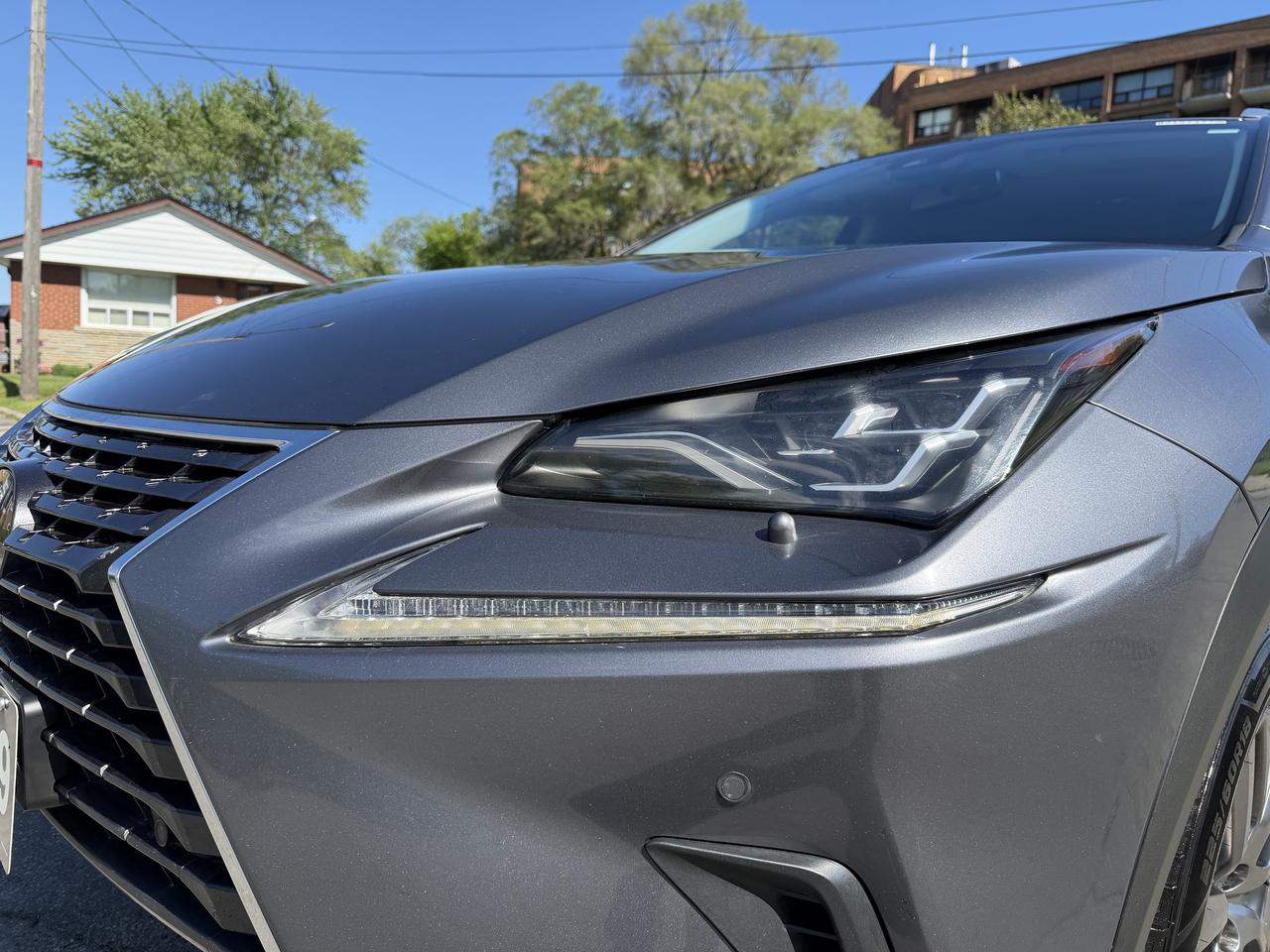 2019 Lexus NX NX 300 Auto Photo