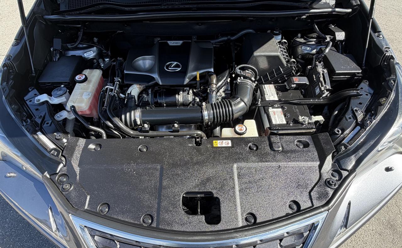 2019 Lexus NX NX 300 Auto Photo