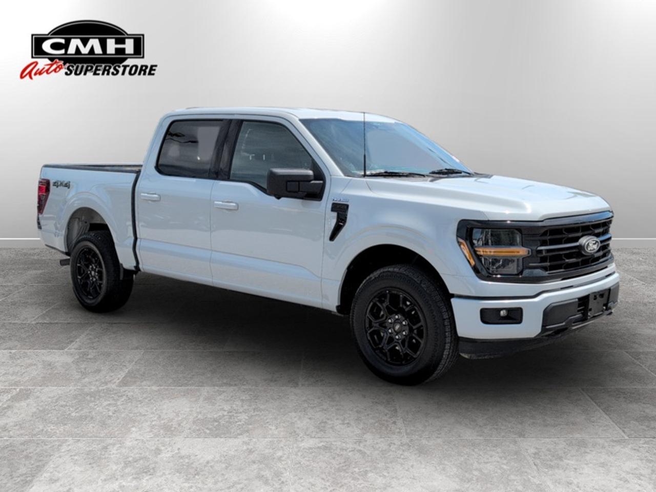 2024 Ford F-150 XLT w/Black App. Pkg  **XLT BLACK APPEARANCE PACKAGE** Photo