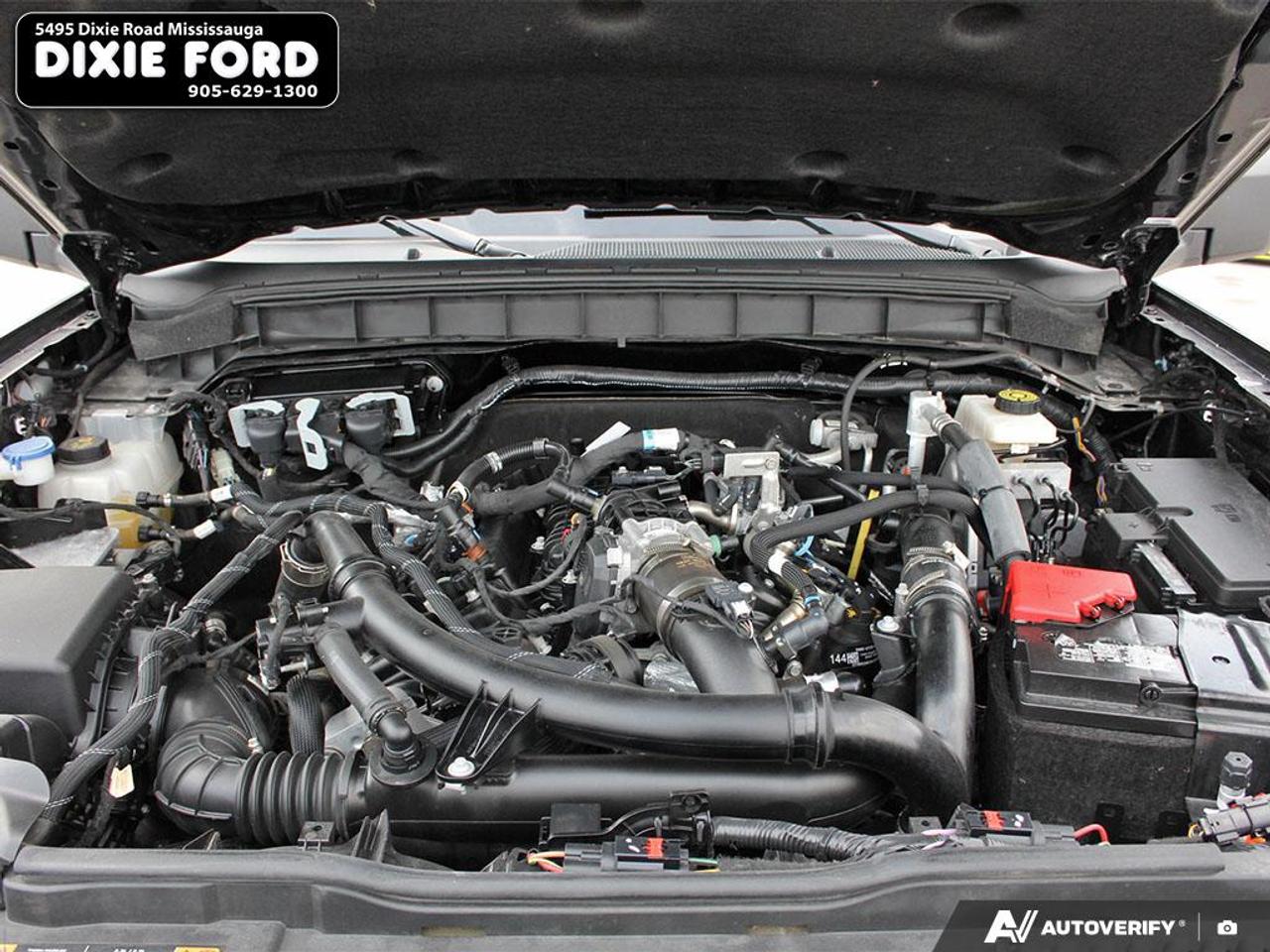 2024 Ford Bronco WildTrak Photo