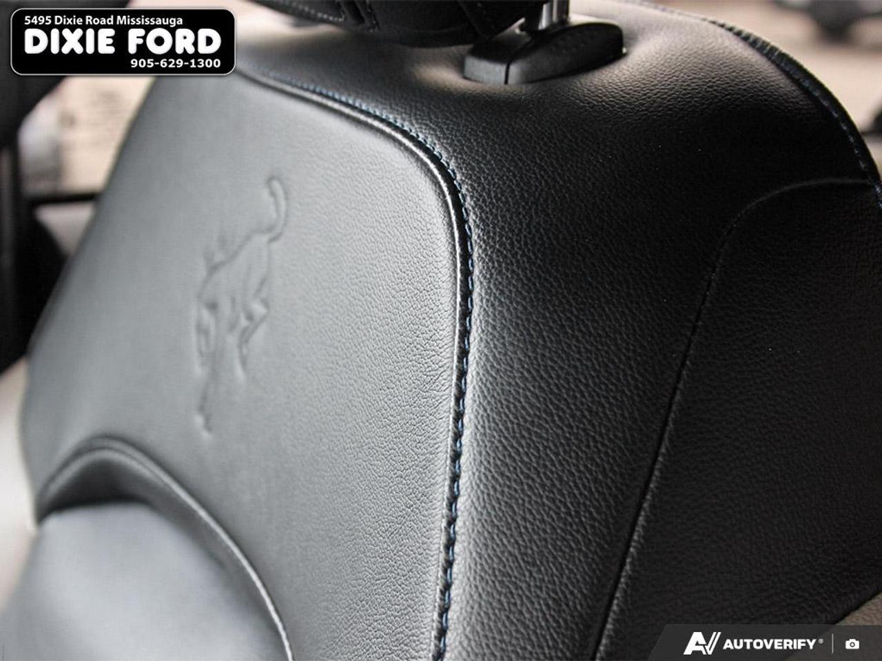 2024 Ford Bronco WildTrak Photo