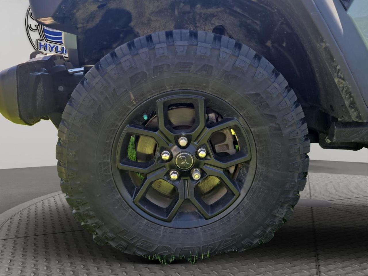 2024 Jeep Wrangler Willys Photo