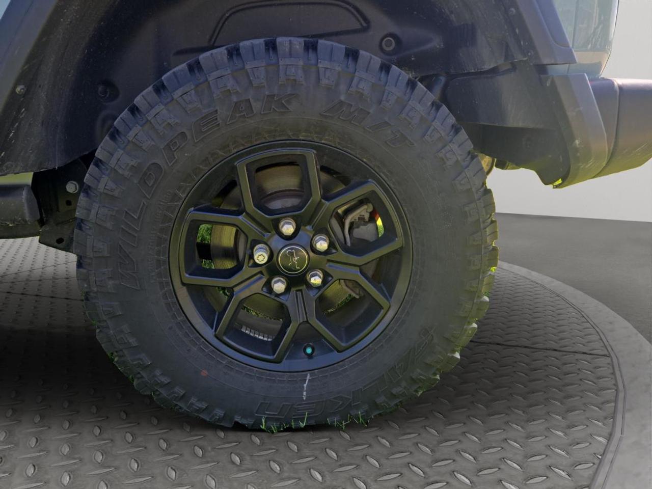 2024 Jeep Wrangler Willys Photo