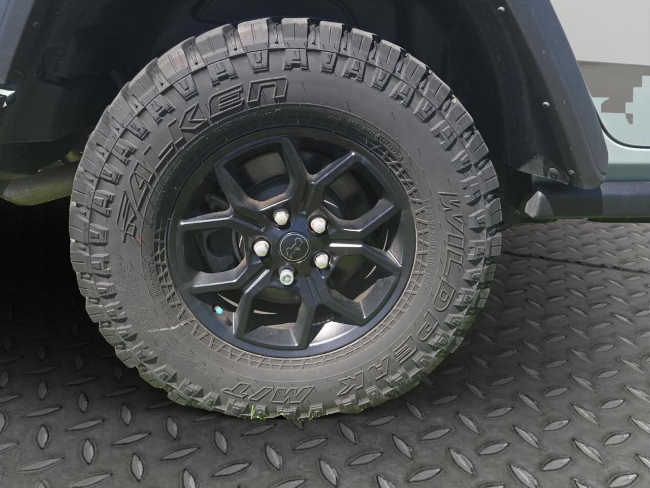 2024 Jeep Wrangler Willys Photo