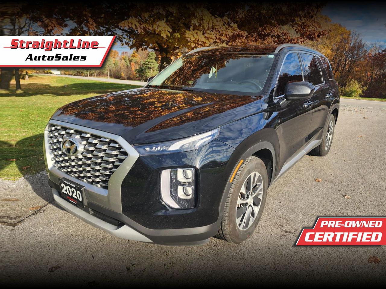 2020 Hyundai PALISADE SEL Photo0