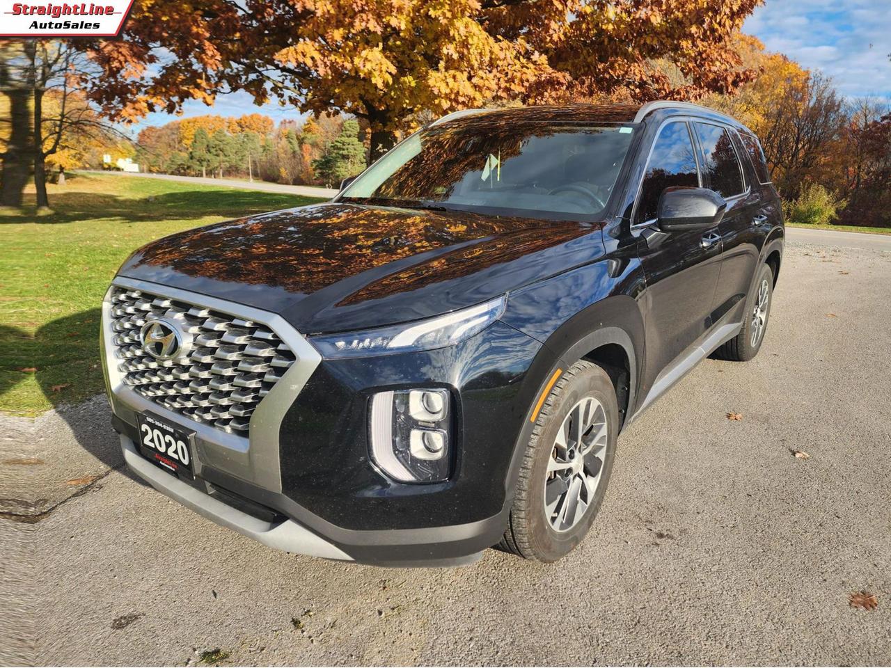 2020 Hyundai PALISADE SEL Photo