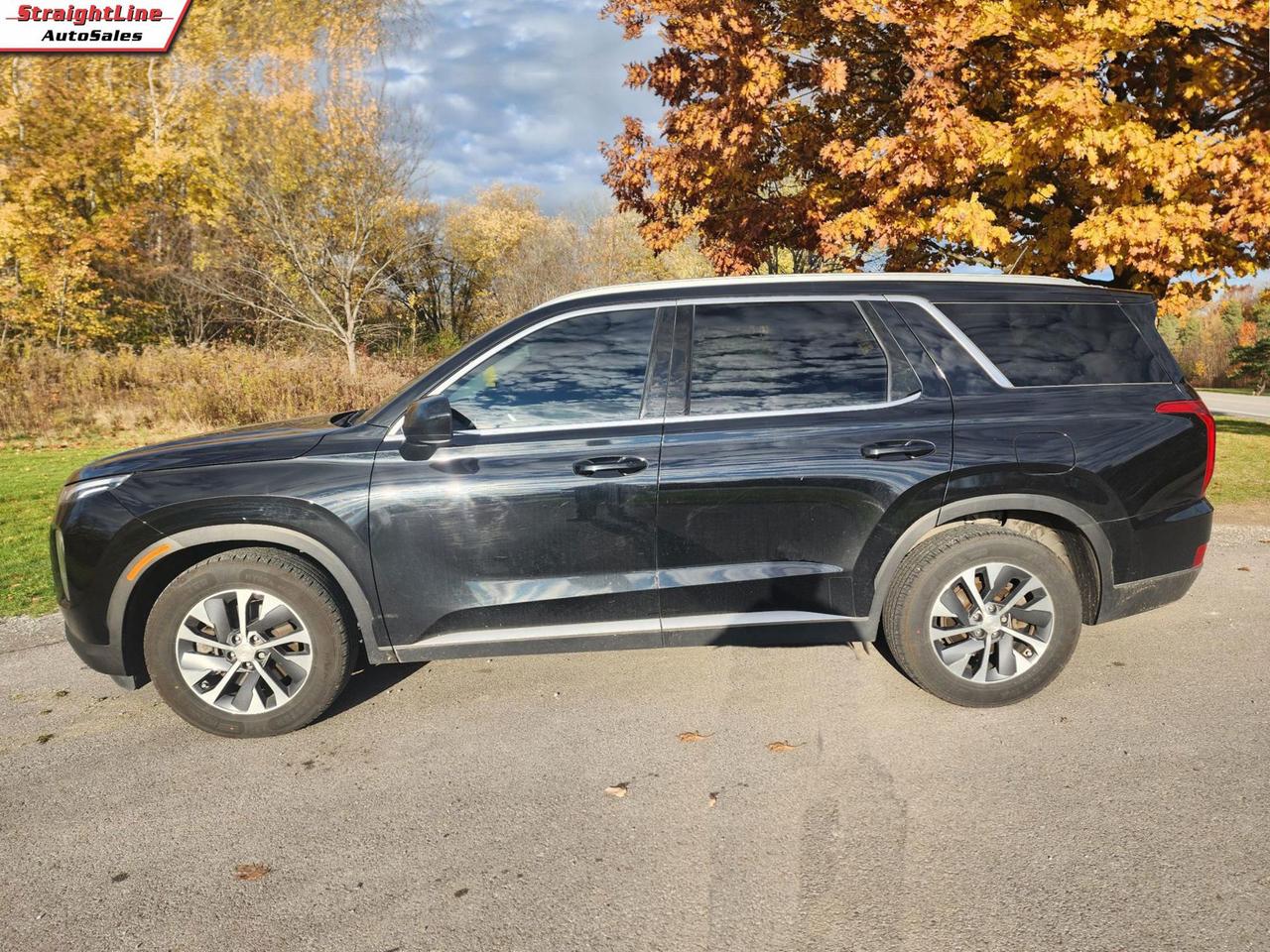 2020 Hyundai PALISADE SEL Photo