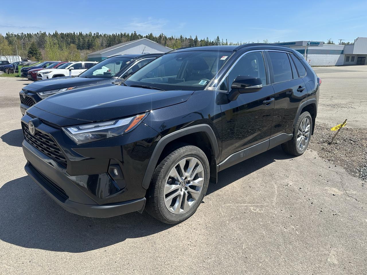 2022 Toyota RAV4  Photo0