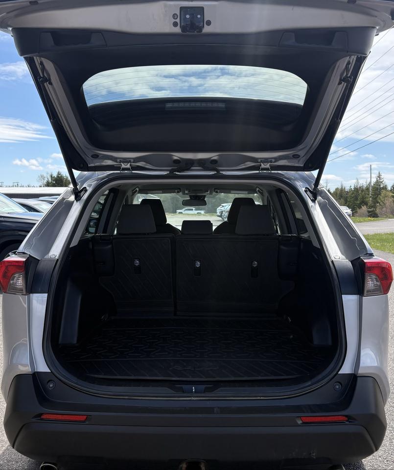 2019 Toyota RAV4 LE Photo