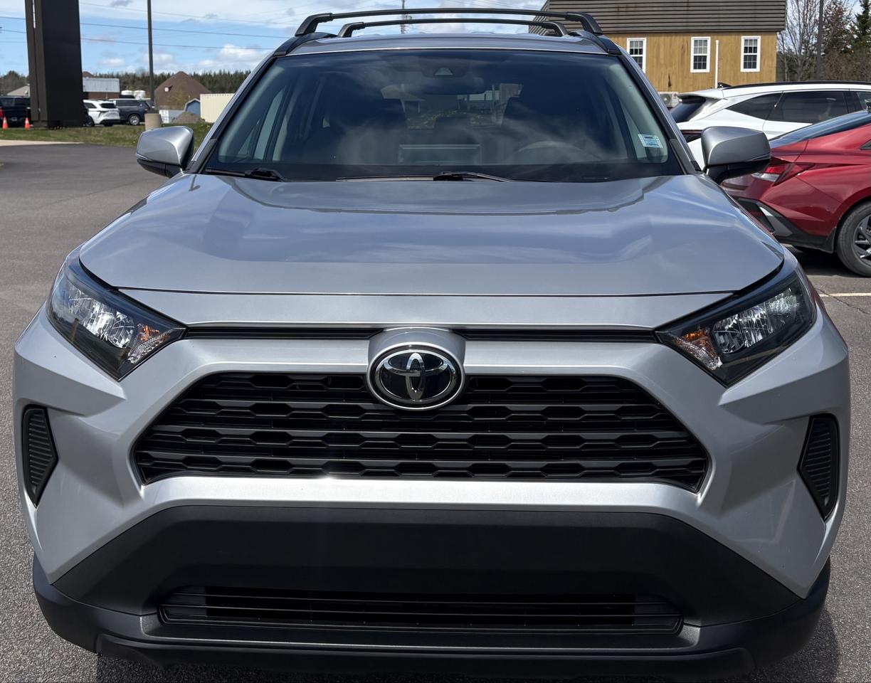 2019 Toyota RAV4 LE Photo