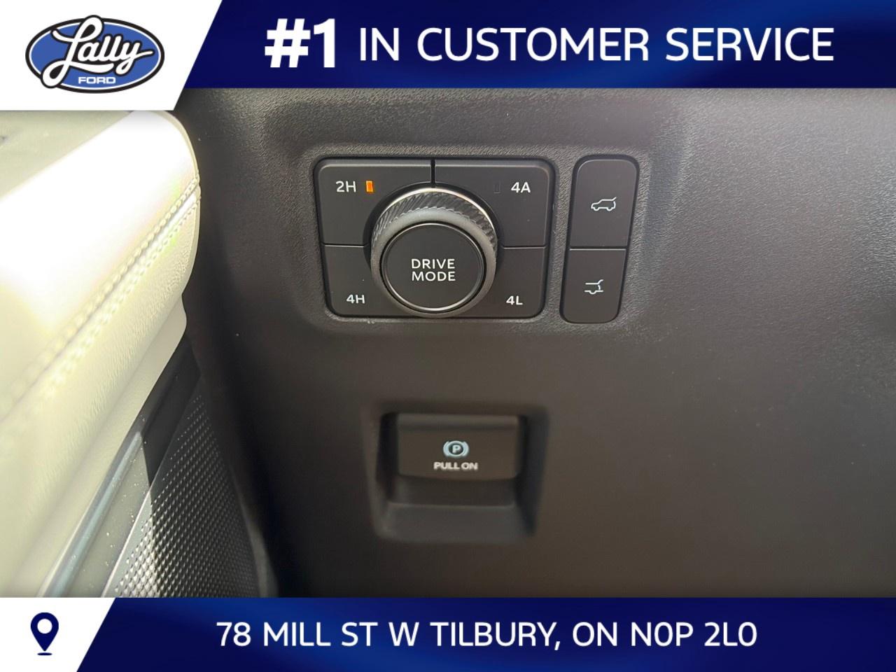 2026 Ford Expedition Platinum 4x4 Photo