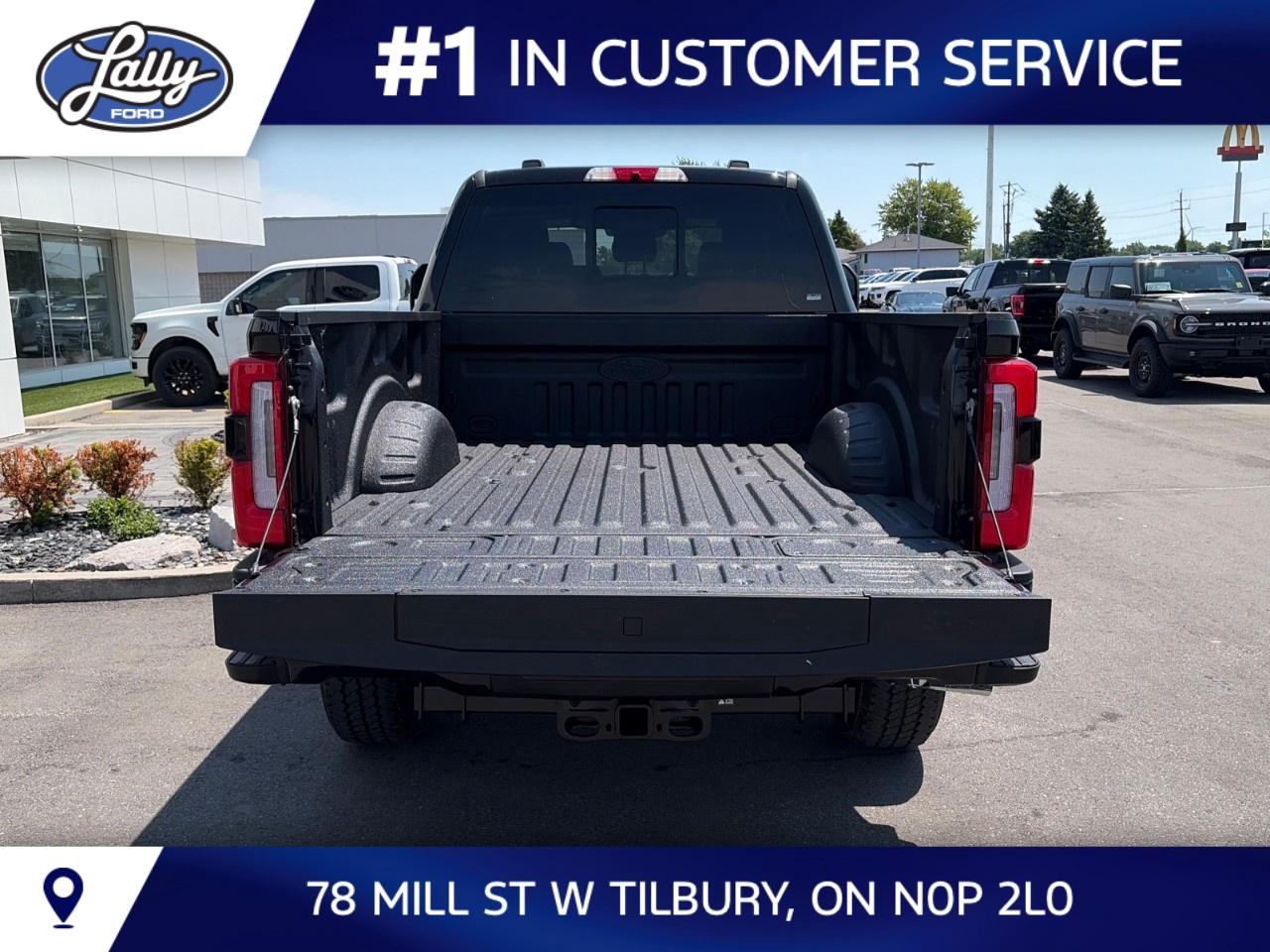 2026 Ford F-250 Super Duty SRW PLATINUM 4WD CREW CAB 6.75' BOX Photo