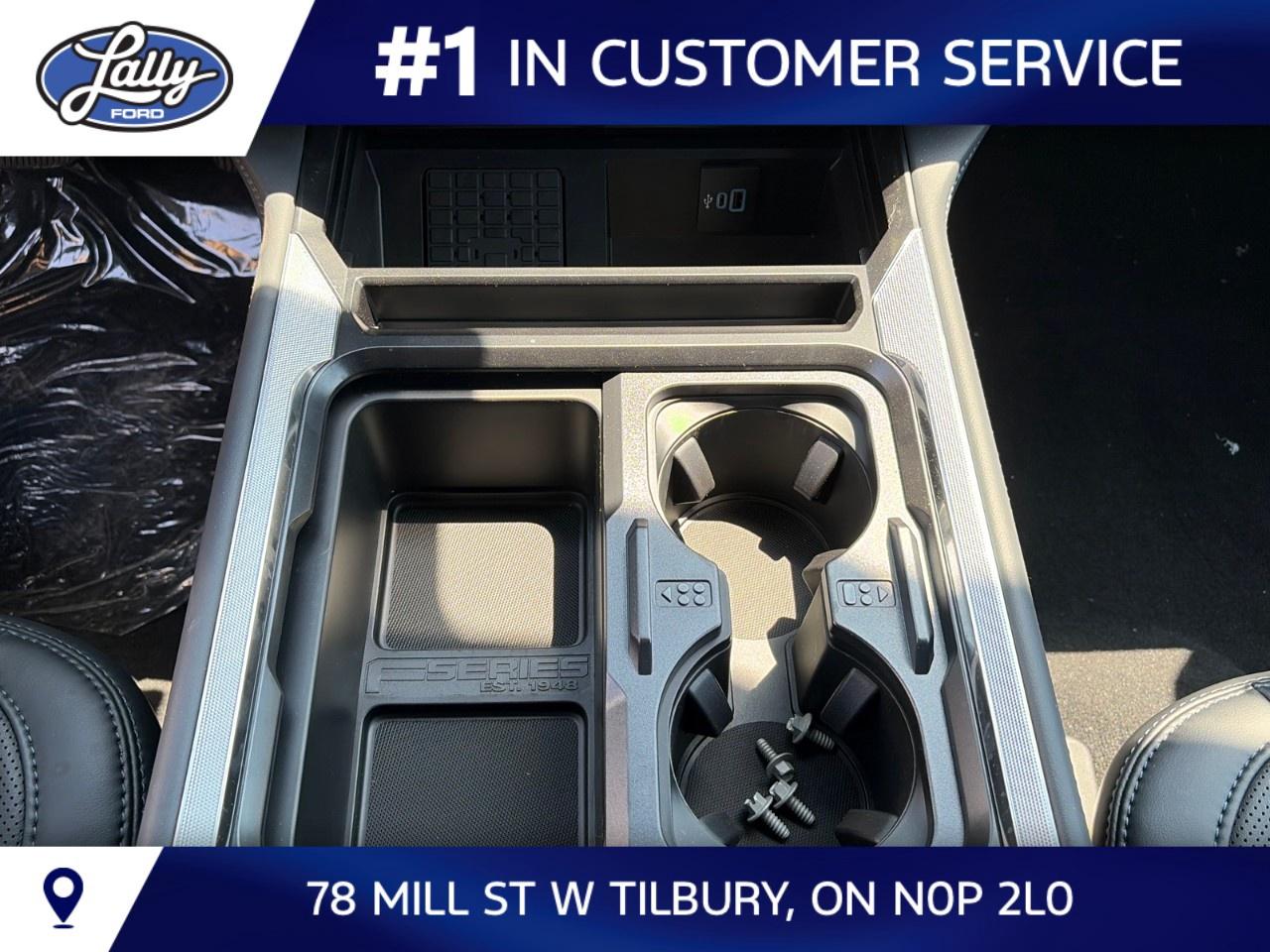 2026 Ford F-250 Super Duty SRW PLATINUM 4WD CREW CAB 6.75' BOX Photo