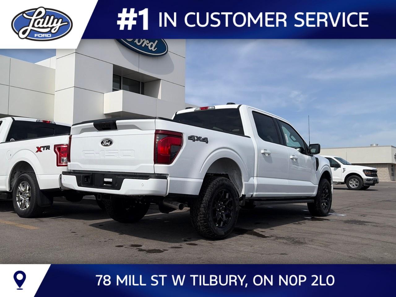 2026 Ford F-150 XLT 4WD SuperCrew 5.5' Box Photo