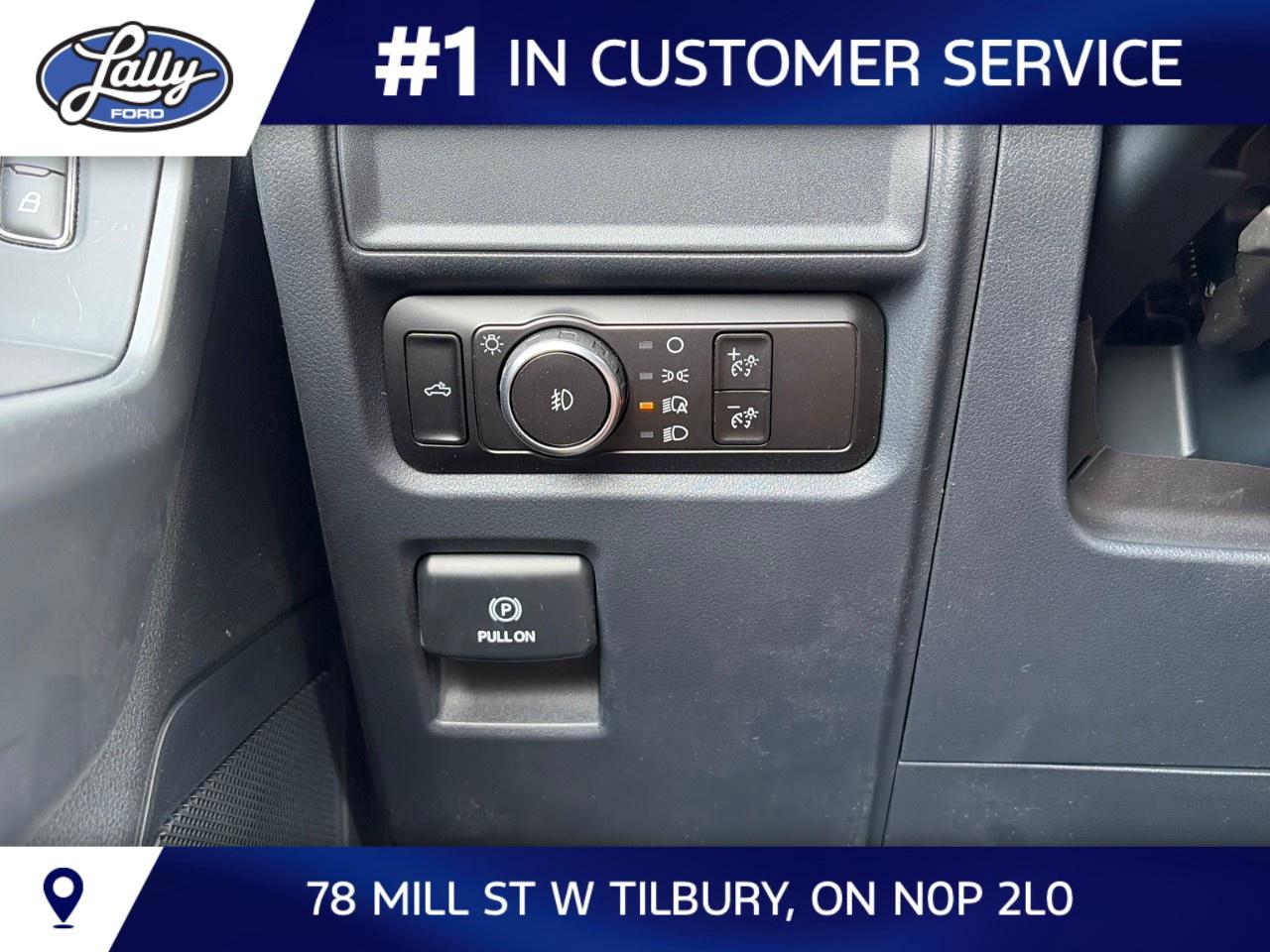 2026 Ford F-150 XLT 4WD SuperCrew 5.5' Box Photo
