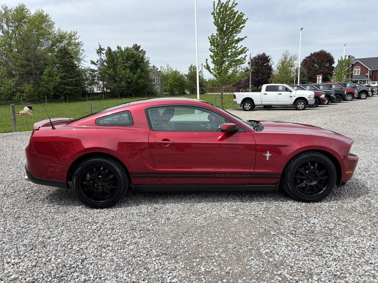2010 Ford Mustang V6 Coupe Photo