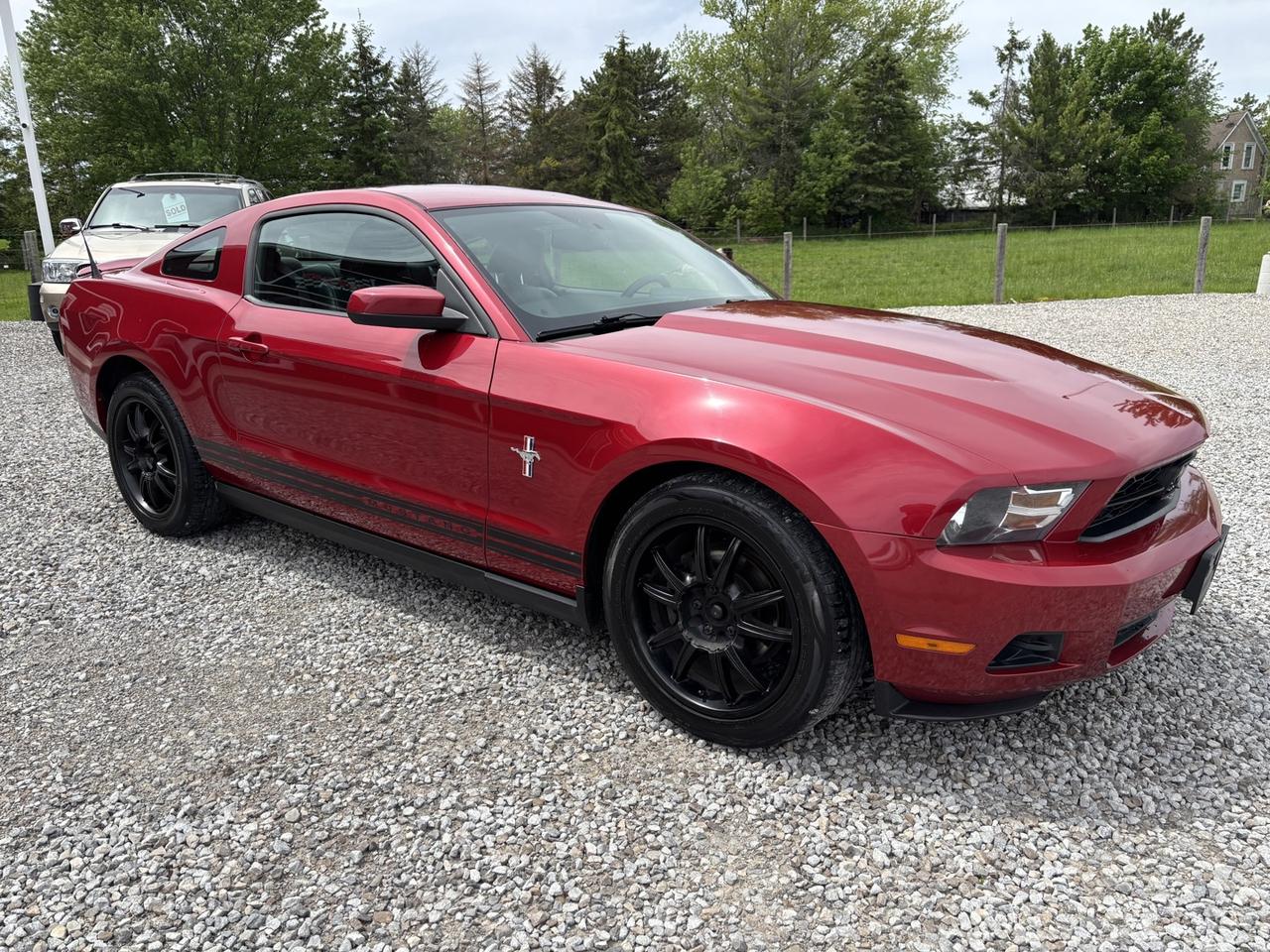 2010 Ford Mustang V6 Coupe Photo