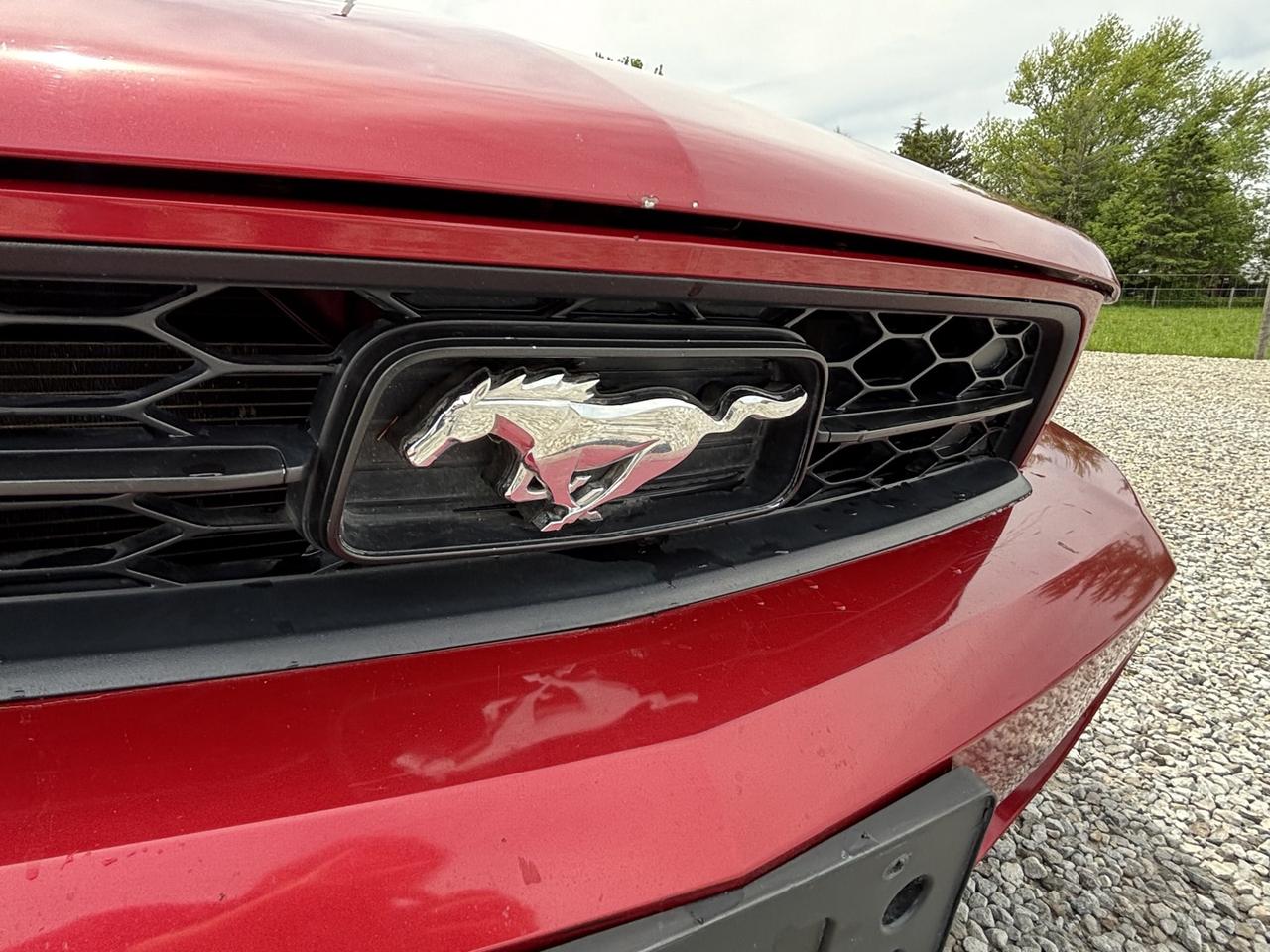 2010 Ford Mustang V6 Coupe Photo