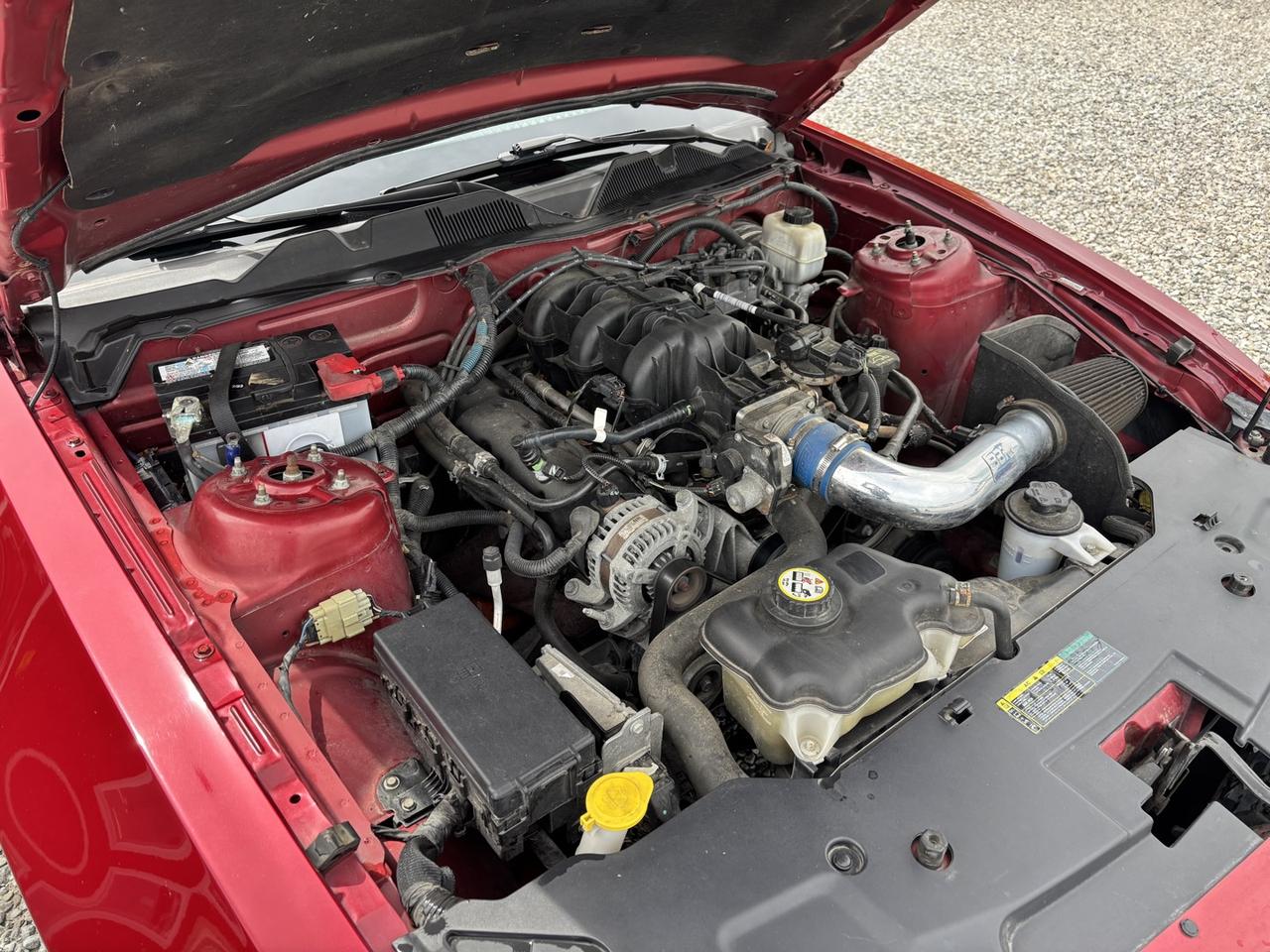 2010 Ford Mustang V6 Coupe Photo