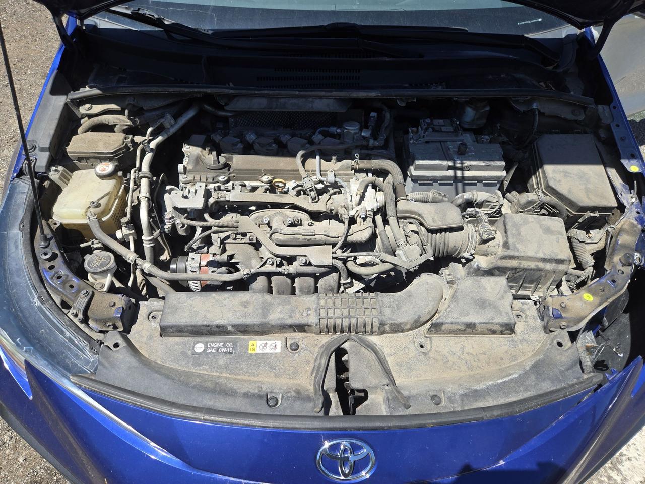 2020 Toyota Corolla SE Photo