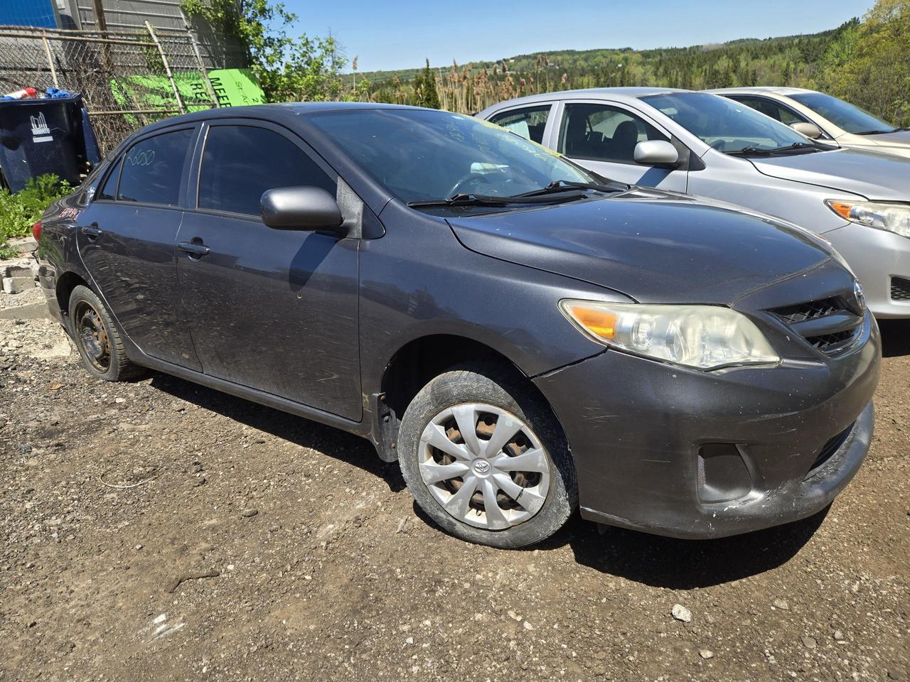 2011 Toyota Corolla LE Photo