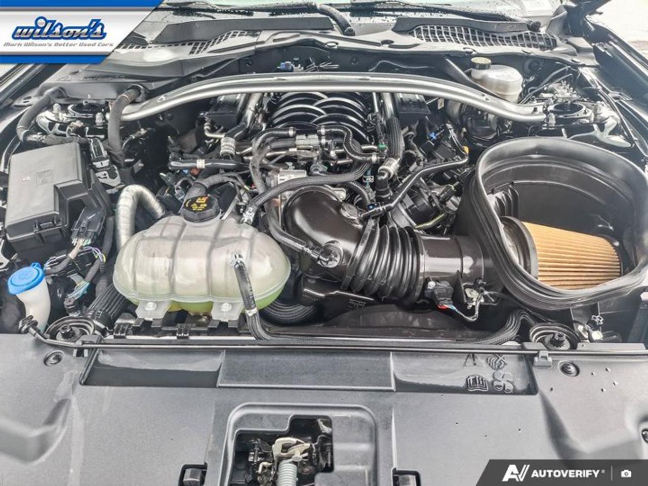2021 Ford Mustang Mach 1 Coupe | Tremec 6-Speed Manual | Recaro Seats | $4500 Handling Pkg | Nav | CarPlay and More ! Photo