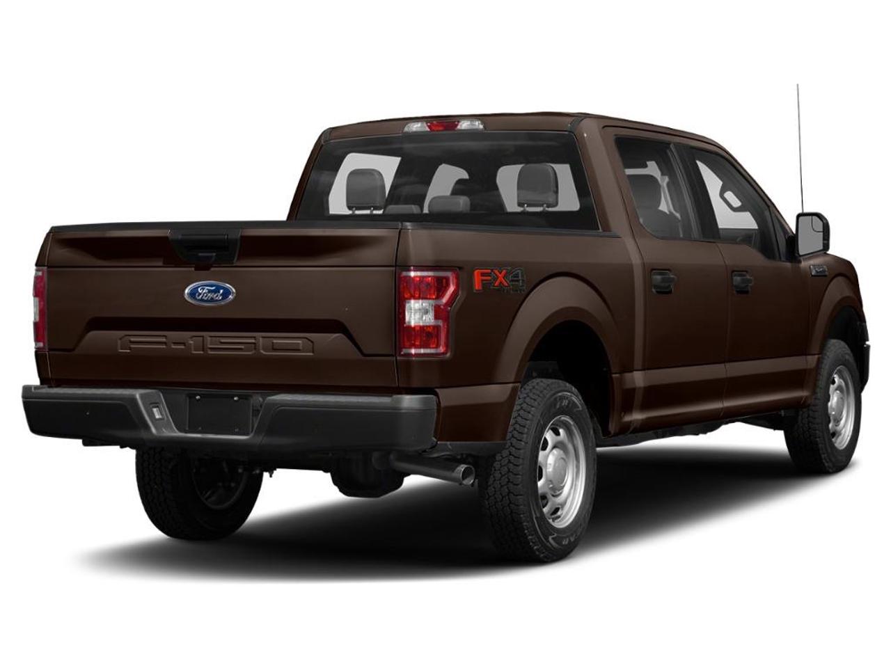 2019 Ford F-150  Photo