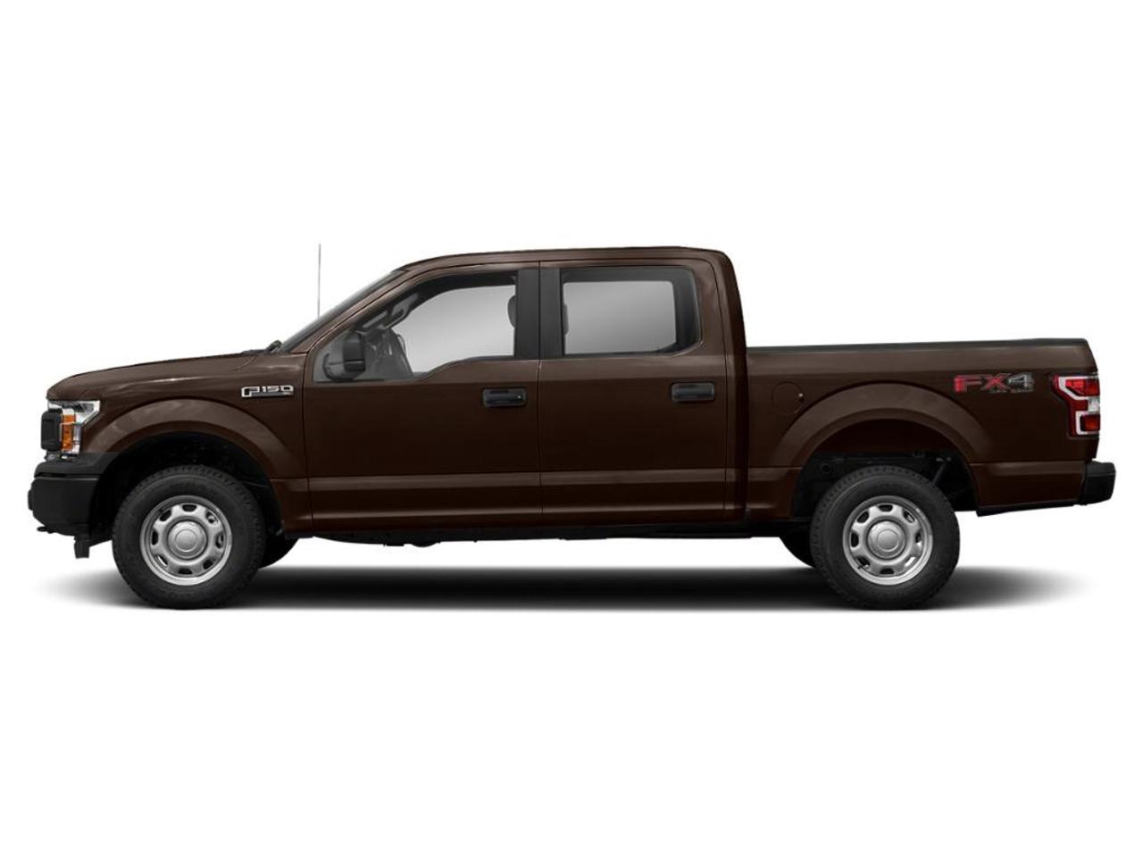 2019 Ford F-150  Photo