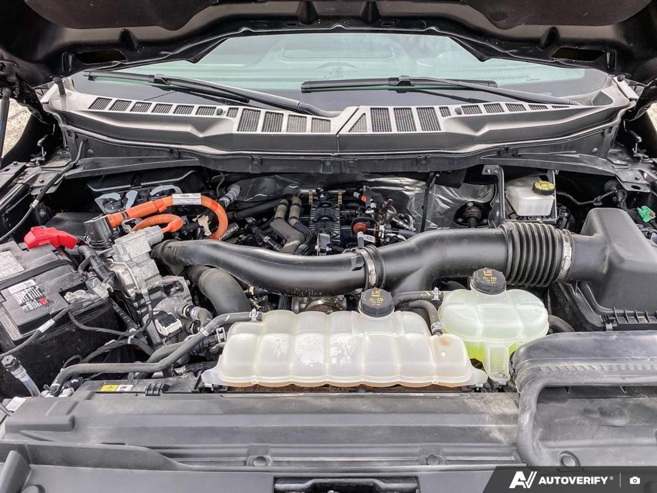 2024 Ford F-150 XLT POWERBOOST HYBRID | TOW PKG | BLACK APPEARANCE PKG Photo