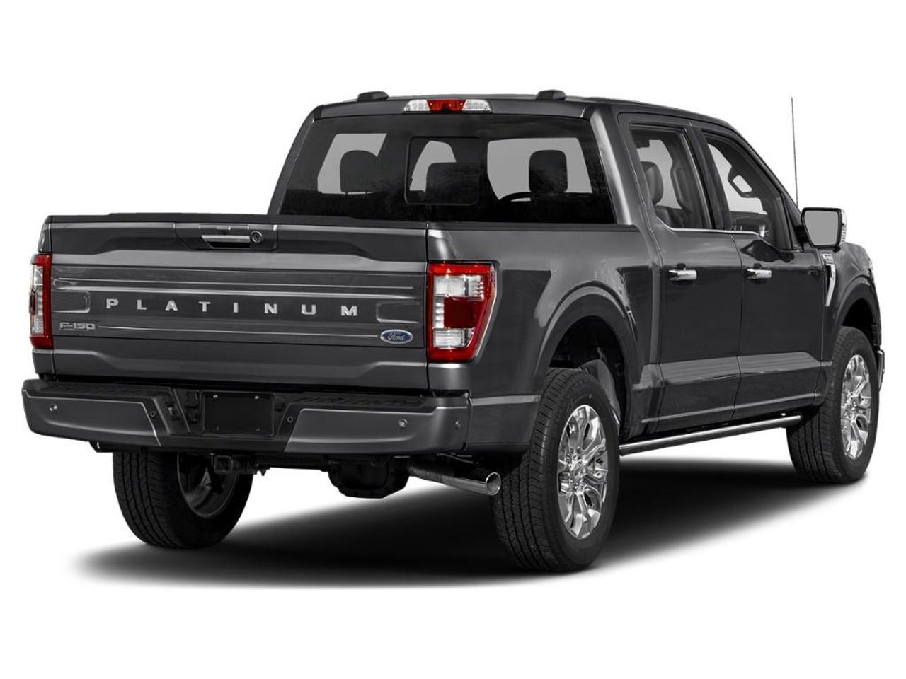2023 Ford F-150 Platinum Photo