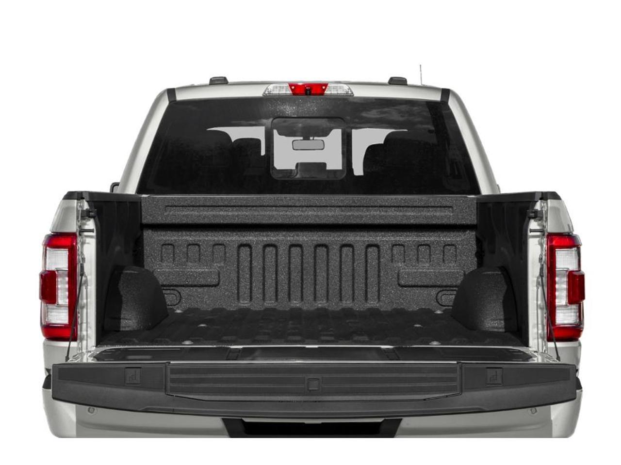 2023 Ford F-150 Platinum Photo