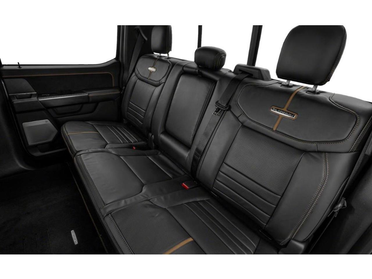 2023 Ford F-150 Platinum Photo