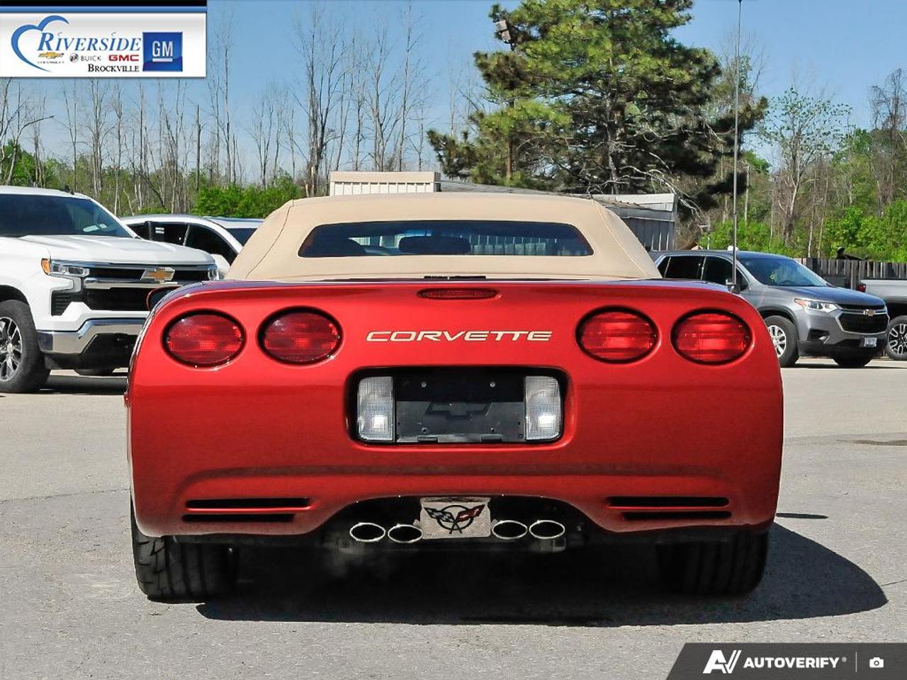 1999 Chevrolet Corvette  Photo