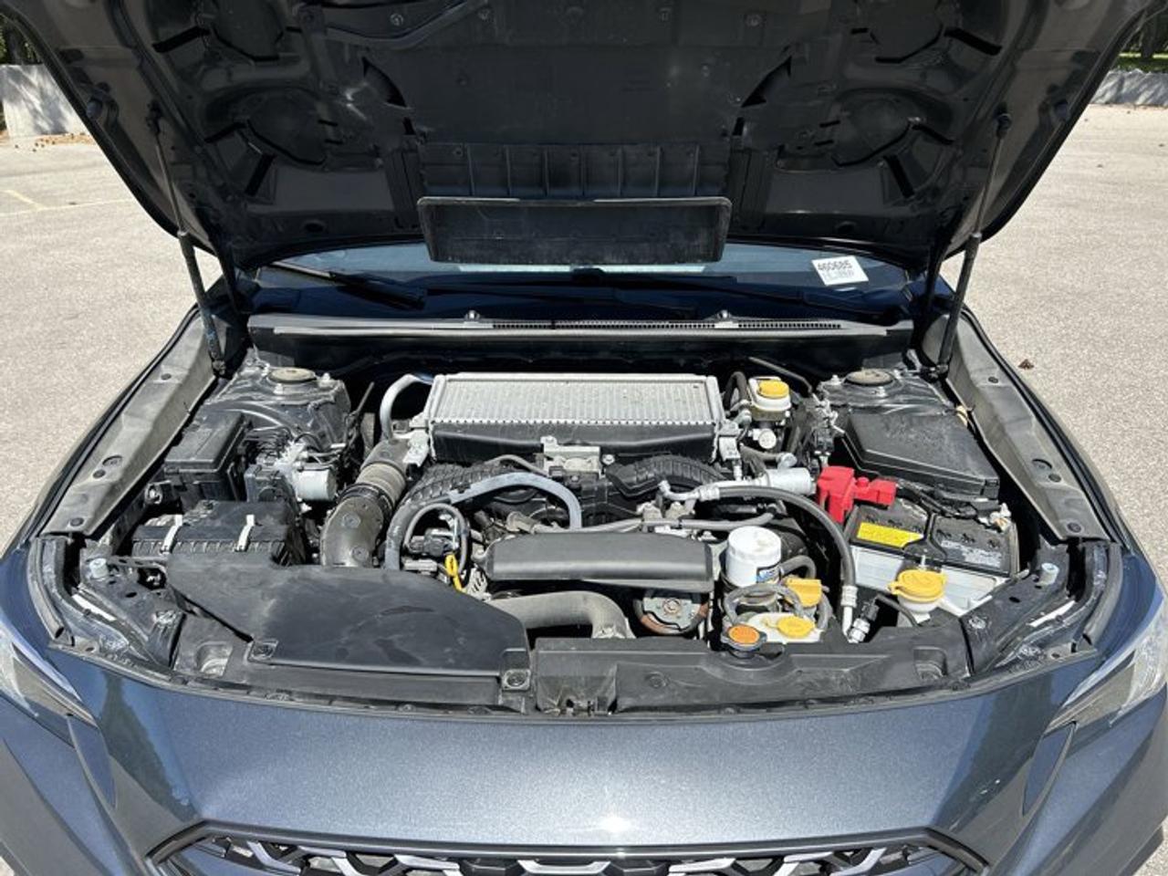 2023 Subaru WRX Manual AWD | No Accidents Photo
