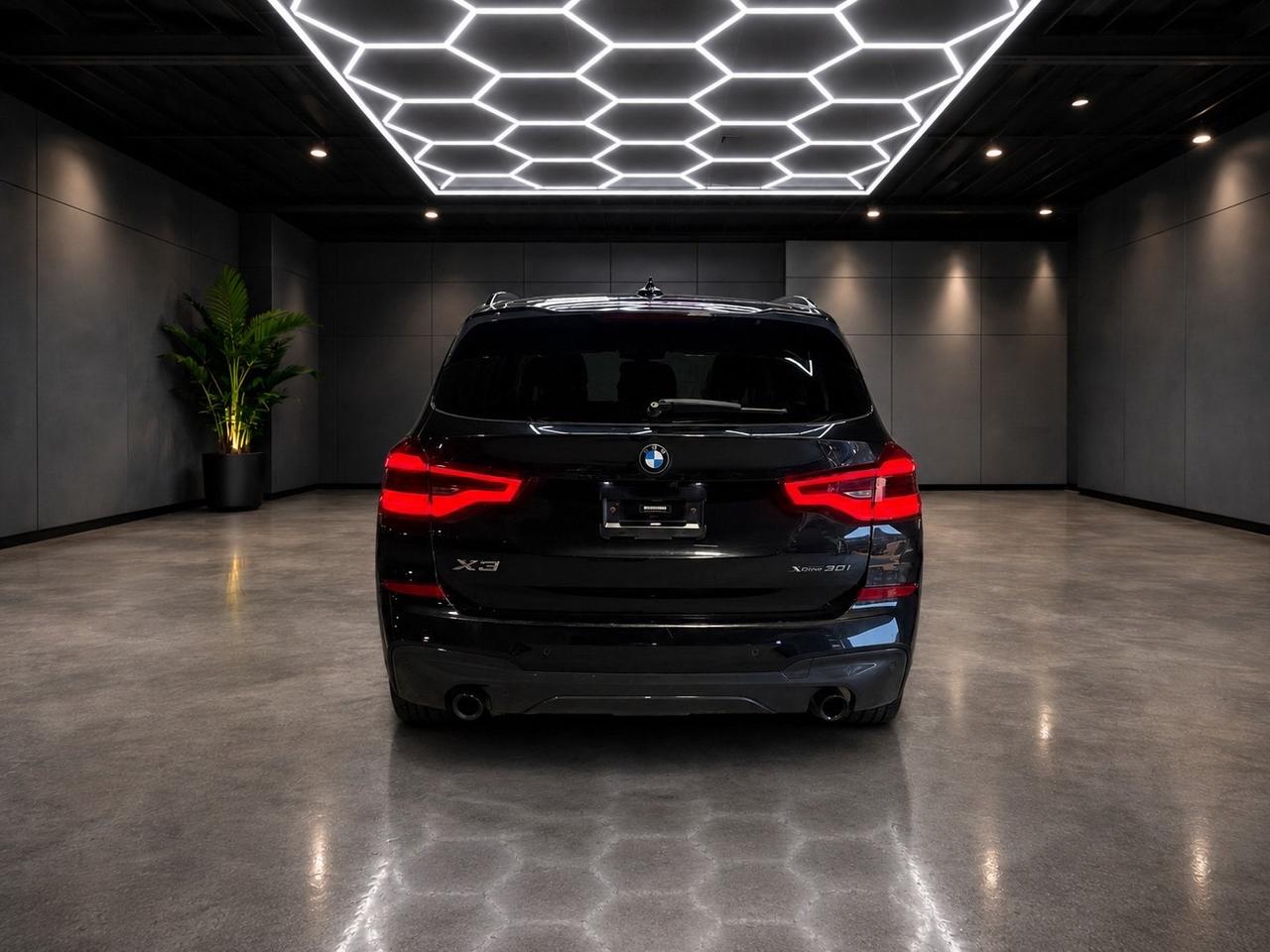 2021 BMW X3 xDrive30i Sports Activity Vehicle Photo