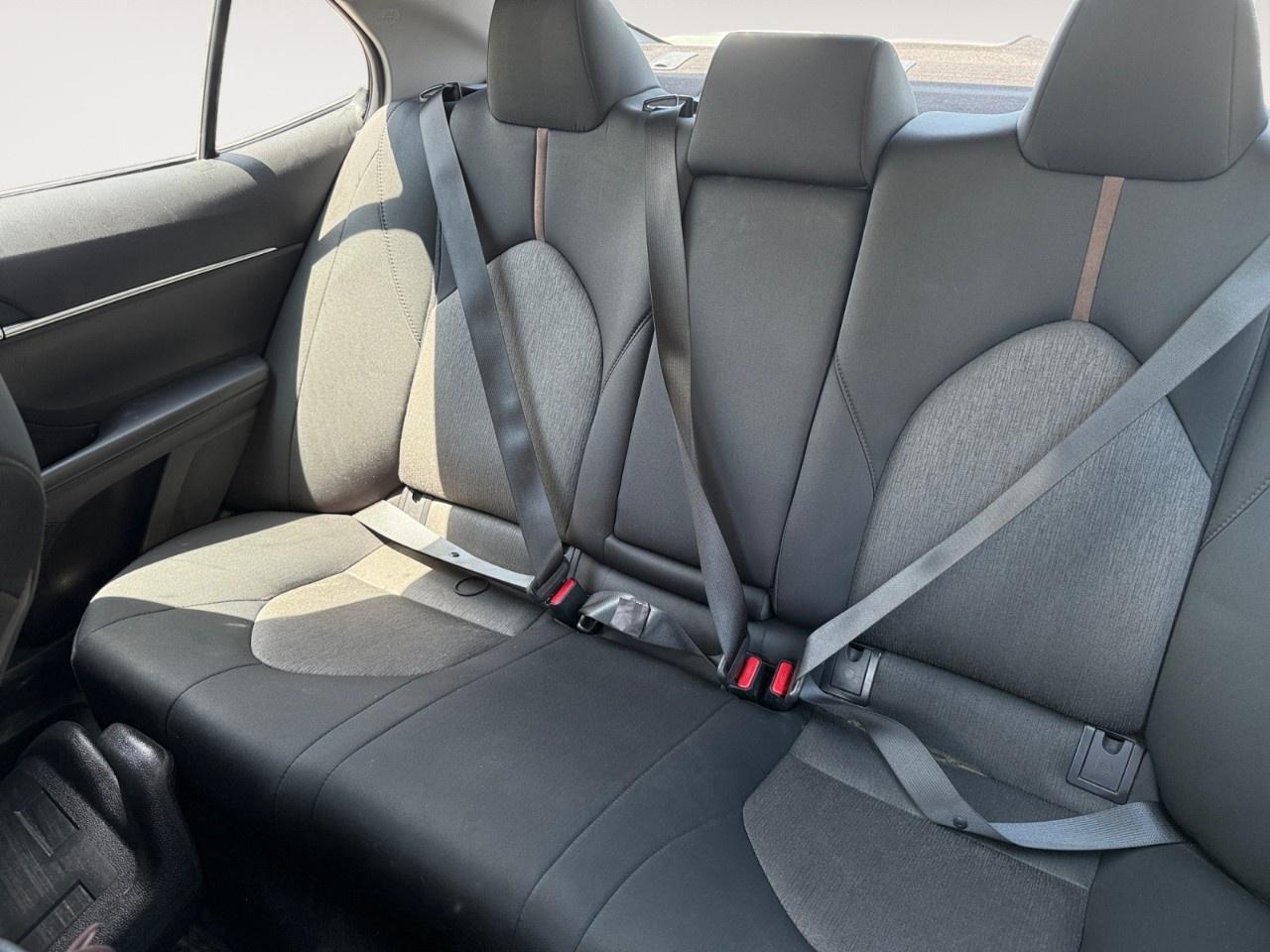 2020 Toyota Camry LE Auto Photo