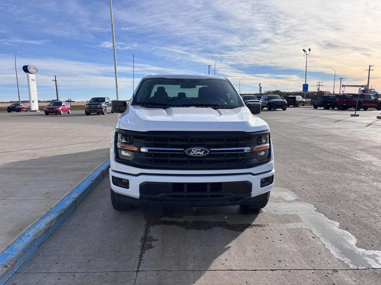 2026 Ford F-150 XLT 4WD SuperCrew 6.5' Box Photo1
