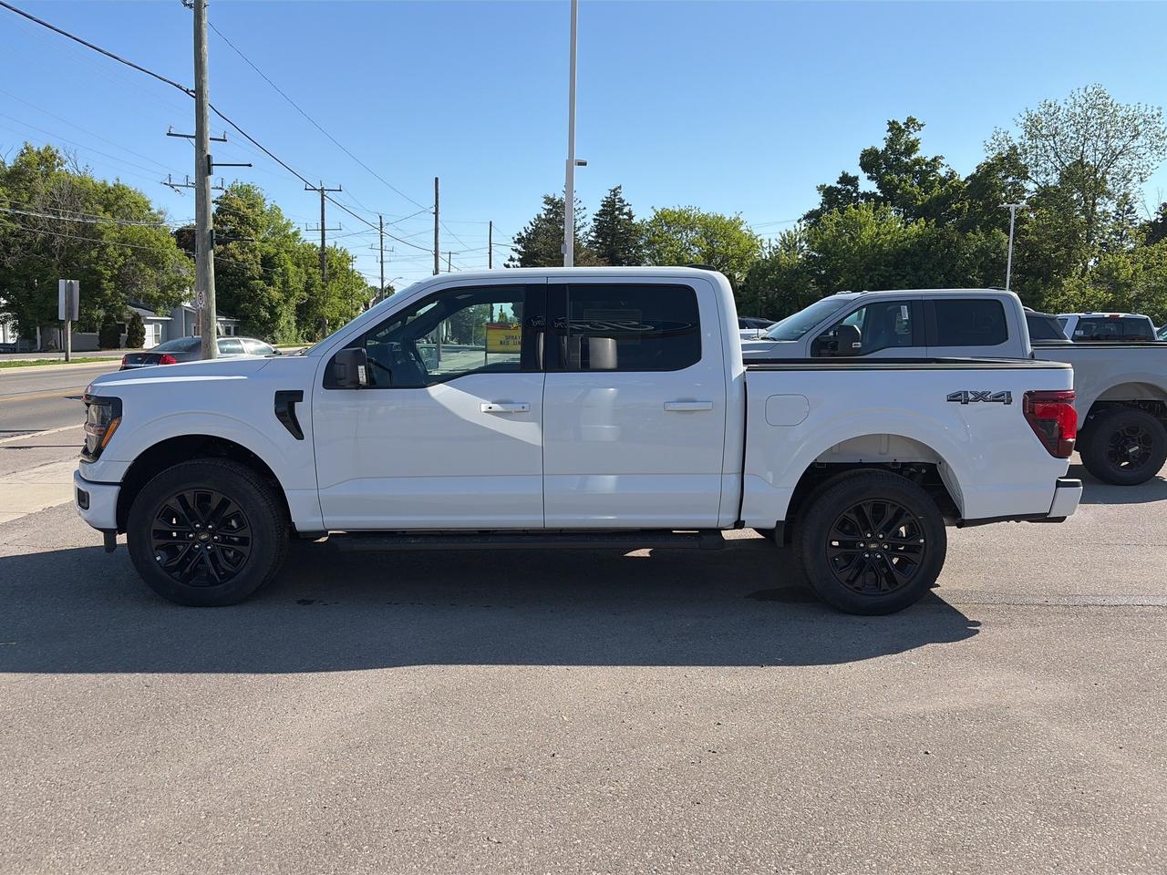 2026 Ford F-150 XLT 4WD SuperCrew 5.5' Box Photo