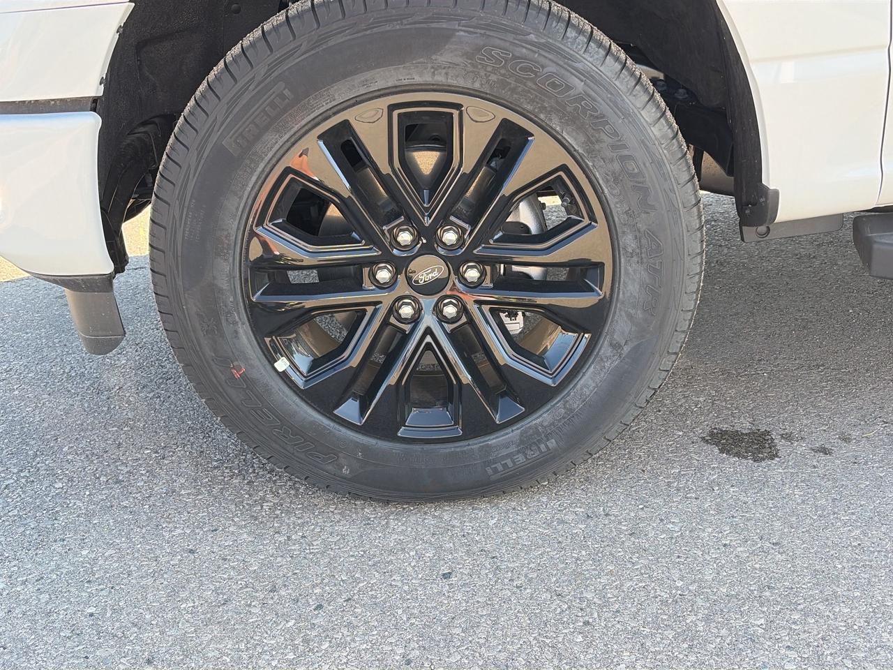 2026 Ford F-150 XLT 4WD SuperCrew 5.5' Box Photo