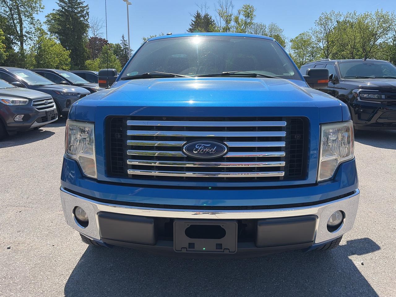 2012 Ford F-150 XLT 2WD Reg Cab 126 Photo